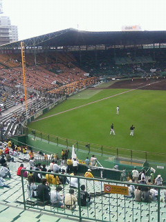 �^�C�K�[�X��ϐ��