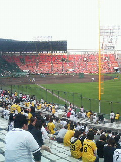 �^�C�K�[�X��ϐ��