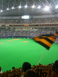 �^�C�K�[�X��ϐ��