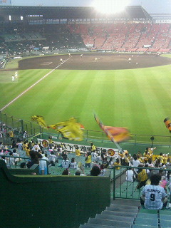 �^�C�K�[�X��ϐ��