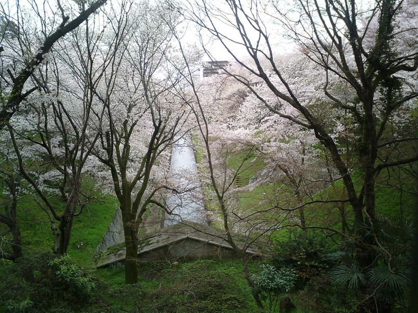 �ɂ�񂱁E���