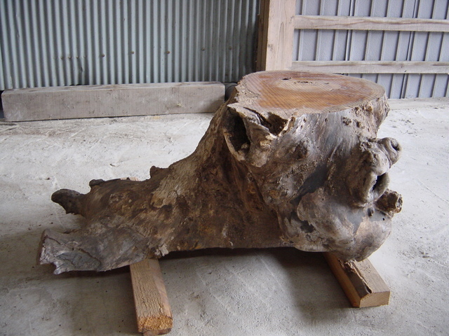 �Óc�؍ށy�ɉ�s�z