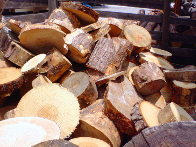 �Óc�؍ށy�ɉ�s�z