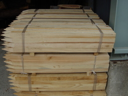 �Óc�؍ށy�ɉ�s�z