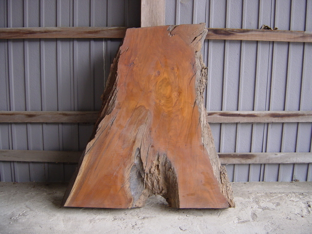 �Óc�؍ށy�ɉ�s�z