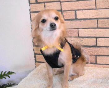 ���茢����&�`�������Ɂ@�x������������������������