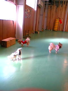 ���茢����&�`�������Ɂ@�x������������������������