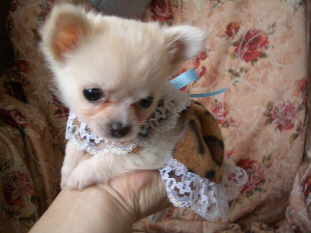 ���茢����&�`�������Ɂ@�x������������������������