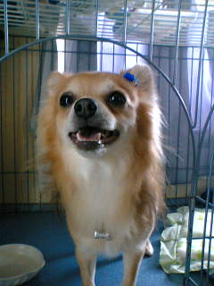 ���茢����&�`�������Ɂ@�x������������������������