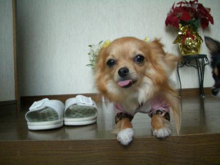 ���茢����&�`�������Ɂ@�x������������������������