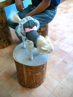 ���茢����&�`�������Ɂ@�x������������������������