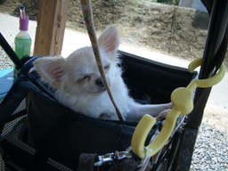 ���茢����&�`�������Ɂ@�x������������������������