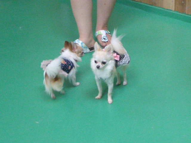 ���茢����&�`�������Ɂ@�x������������������������