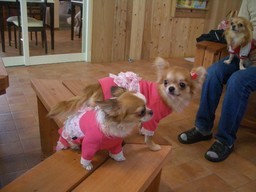 ���茢����&�`�������Ɂ@�x������������������������