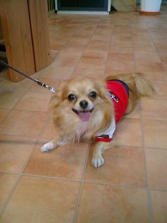 ���茢����&�`�������Ɂ@�x������������������������