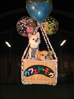 ���茢����&�`�������Ɂ@�x������������������������