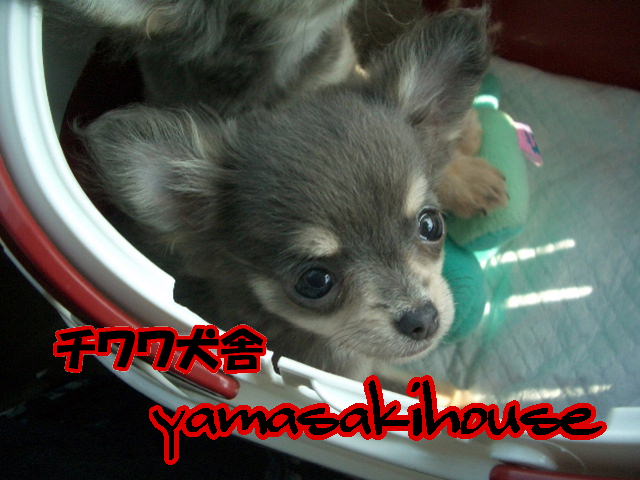 ���茢����&�`�������Ɂ@�x������������������������