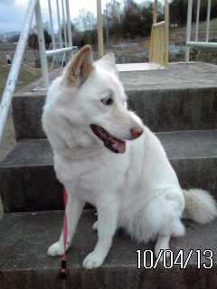 �~�q�̓��L