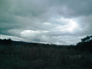 �~�q�̓��L