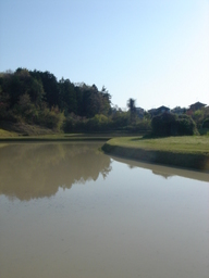 �~�q�̓��L