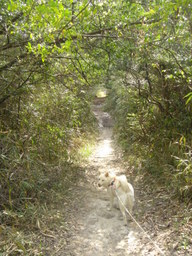 �~�q�̓��L