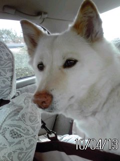 �~�q�̓��L