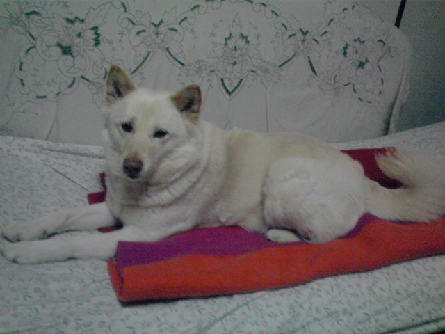 �~�q�̓��L