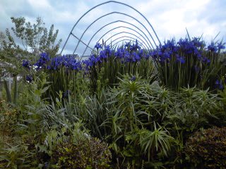 �~�q�̓��L