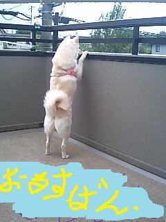 �~�q�̓��L