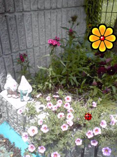 �~�q�̓��L