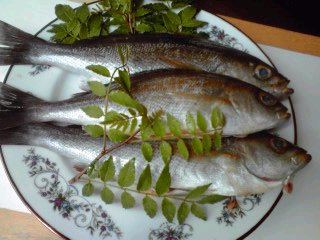 �~�q�̓��L