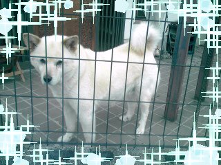 �~�q�̓��L