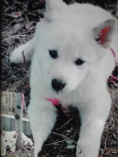 �~�q�̓��L