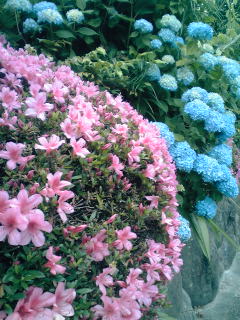 �~�q�̓��L