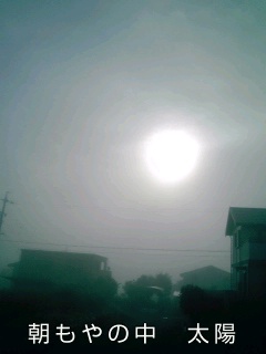 �~�q�̓��L