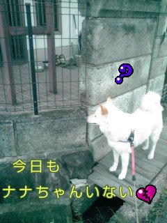 �~�q�̓��L