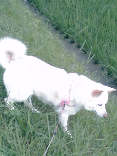 �~�q�̓��L