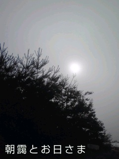 �~�q�̓��L