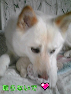 �~�q�̓��L