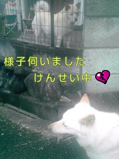 �~�q�̓��L