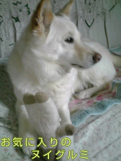 �~�q�̓��L