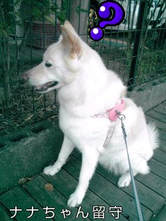 �~�q�̓��L