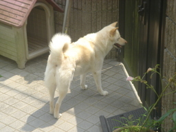 �~�q�̓��L