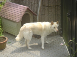 �~�q�̓��L