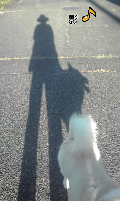 �~�q�̓��L