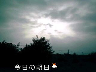 �~�q�̓��L