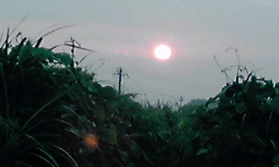 �~�q�̓��L