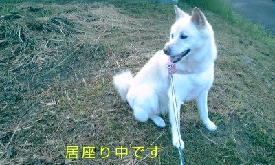 �~�q�̓��L