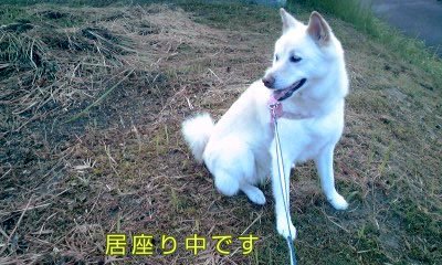 �~�q�̓��L