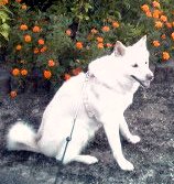 �~�q�̓��L